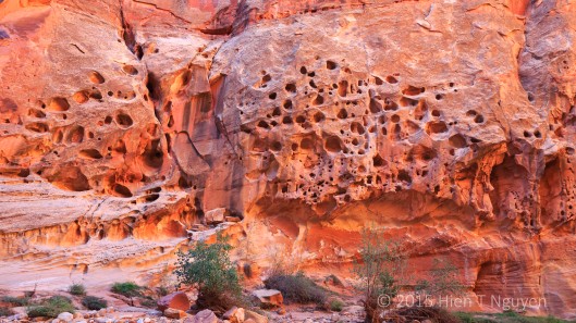 Holes caused by erosion in rock wall at Capitol Reef. If you look carefully you will see some holes have small rocks in them.