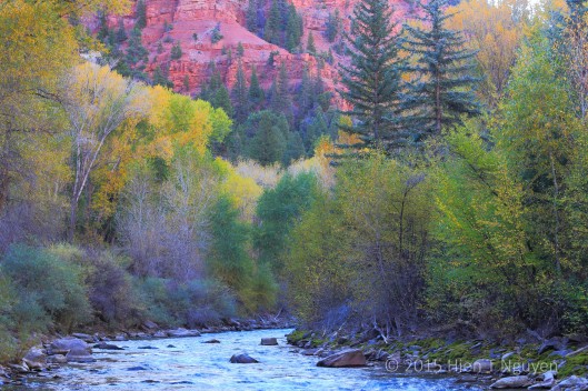 Early morning scene by the Uncompahgre River near Highway 550.
