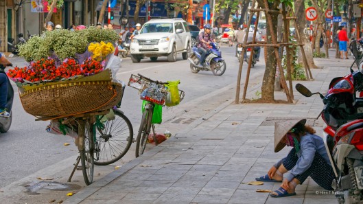 Flower vendor napping on street.