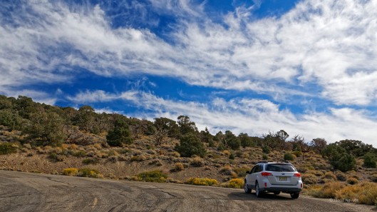 On the way to Ancient Bristlecone Pine Forest near Bishop, CA.
